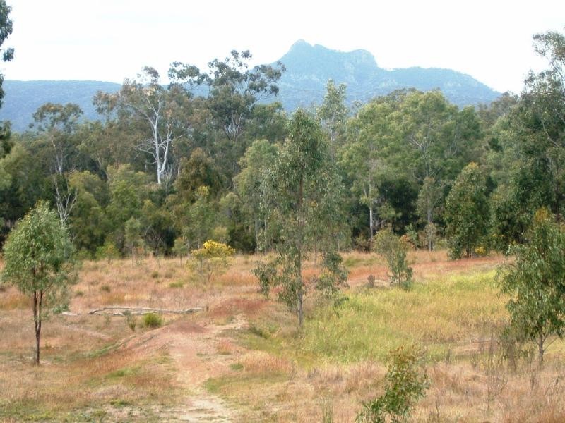 2 Goodman Road, Mount Larcom QLD 4695