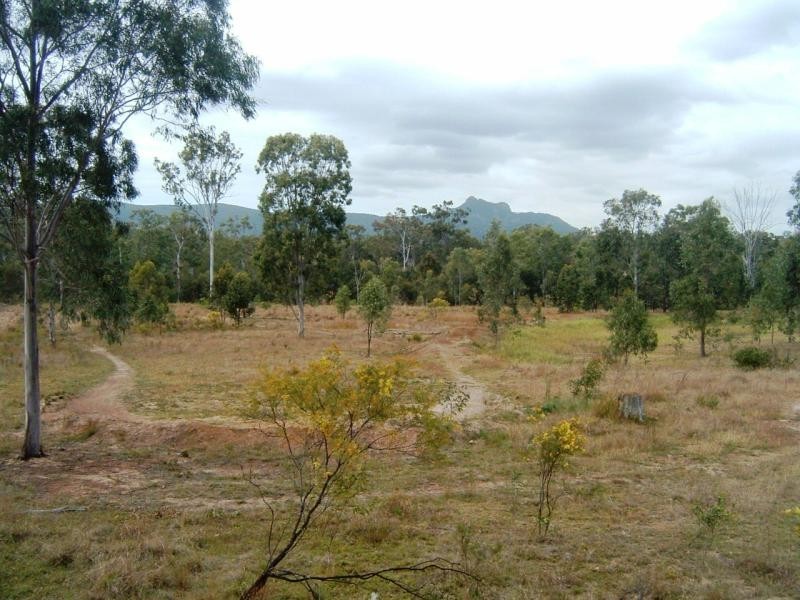2 Goodman Road, Mount Larcom QLD 4695