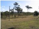 2 Goodman Road, Mount Larcom QLD 4695