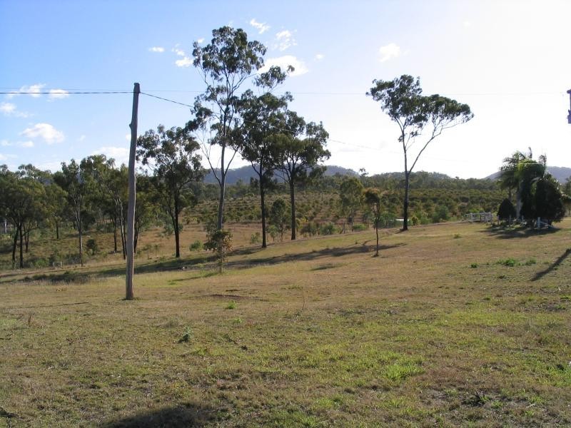 2 Goodman Road, Mount Larcom QLD 4695