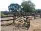 428 East End Road, Bracewell, Mount Larcom QLD 4695