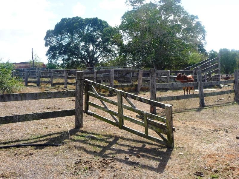 428 East End Road, Bracewell, Mount Larcom QLD 4695