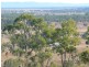229 Potters Road,, Calliope QLD 4680
