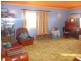 229 Potters Road,, Calliope QLD 4680