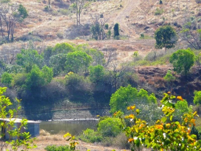 229 Potters Road,, Calliope QLD 4680