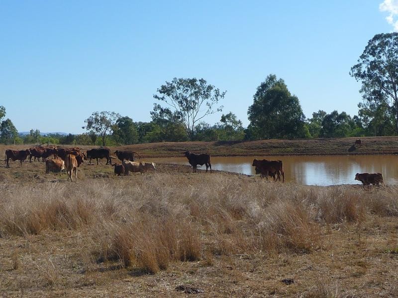 229 Potters Road,, Calliope QLD 4680