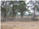 320 Gladstone Monto Road, Calliope QLD 4680