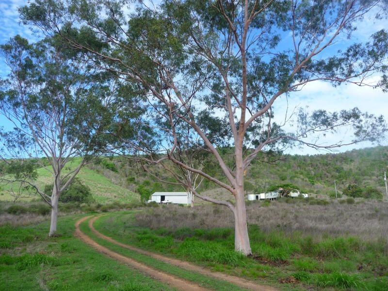 Lot 43/955 Hourigan Creek Road, Raglan QLD 4697
