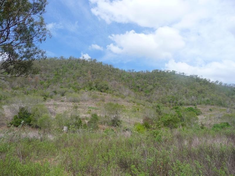 Lot 41/ Hourigan Creek Road, Raglan QLD 4697