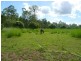 195 Boyles Road, Gladstone QLD 4680