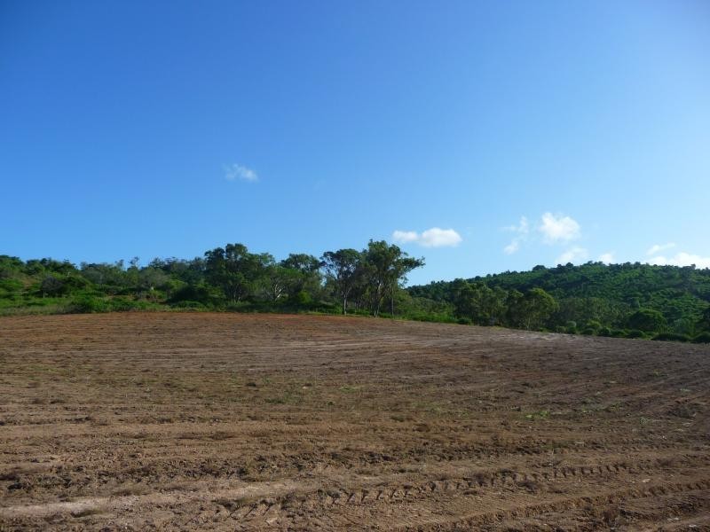 165 Hut Creek Road, Mount Larcom, Mount Larcom QLD 4695