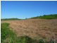 165 Hut Creek Road, Mount Larcom, Mount Larcom QLD 4695