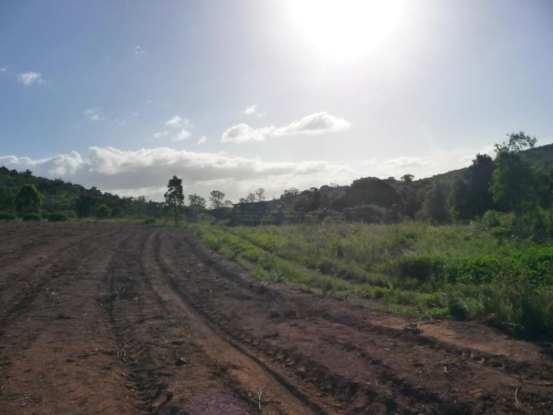 165 Hut Creek Road, Mount Larcom, Mount Larcom QLD 4695