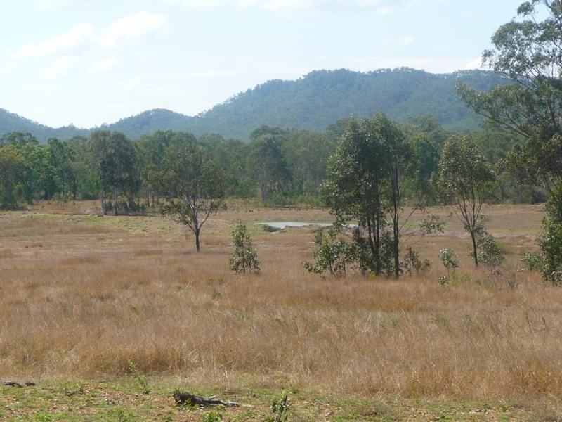 25 GOSTEVSKY ROAD, Mount Larcom QLD 4695