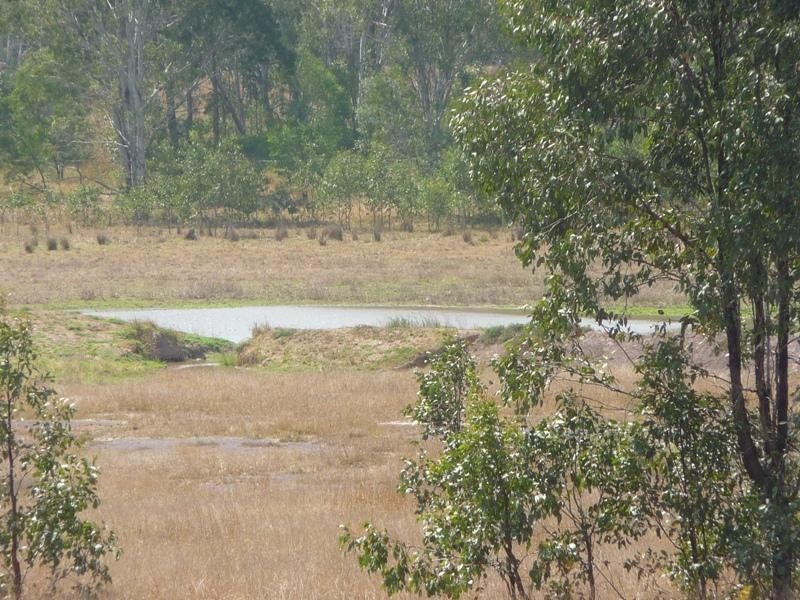 25 GOSTEVSKY ROAD, Mount Larcom QLD 4695