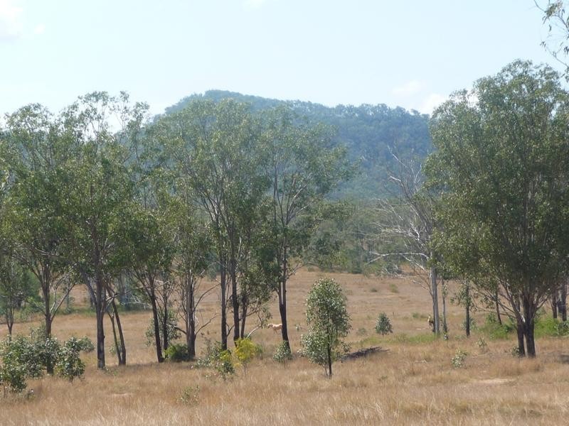 25 GOSTEVSKY ROAD, Mount Larcom QLD 4695