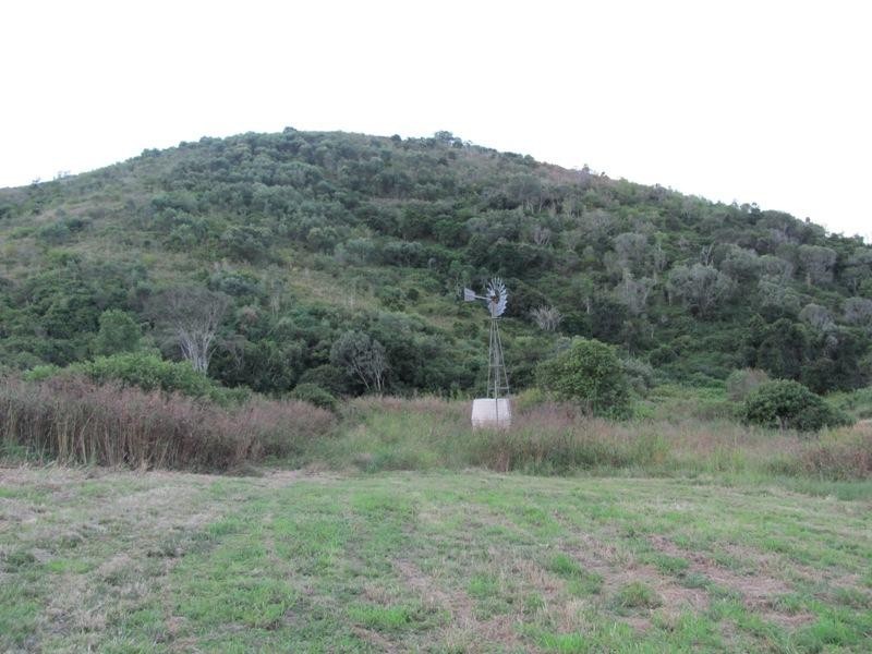 Mount Larcom QLD 4695