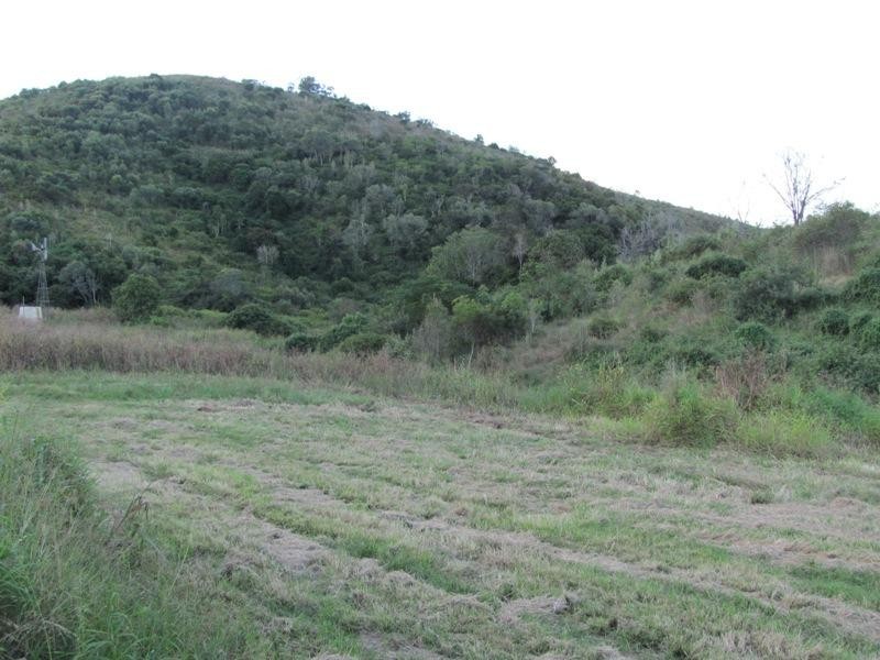 Mount Larcom QLD 4695