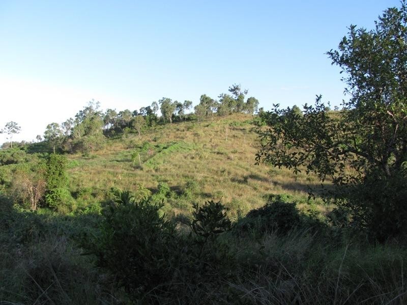 Mount Larcom QLD 4695