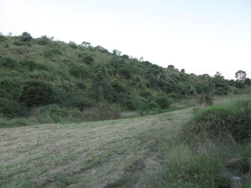 Mount Larcom QLD 4695