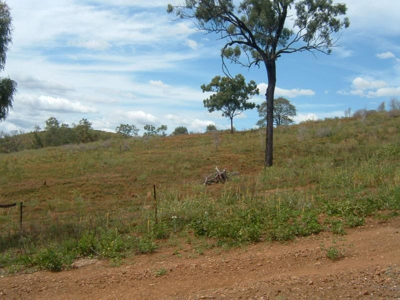 91 LANGMORN SCHOOL ROAD, Ambrose QLD 4702