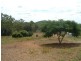 91 LANGMORN SCHOOL ROAD, Ambrose QLD 4702