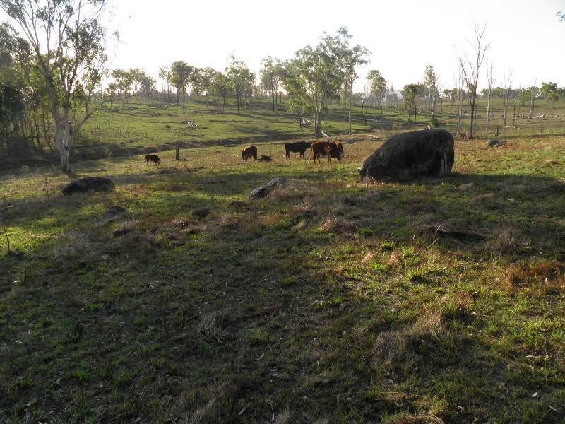 Lot 5/ Mt Hector Road, Ubobo, Boyne Valley, Boyne Valley QLD 4680