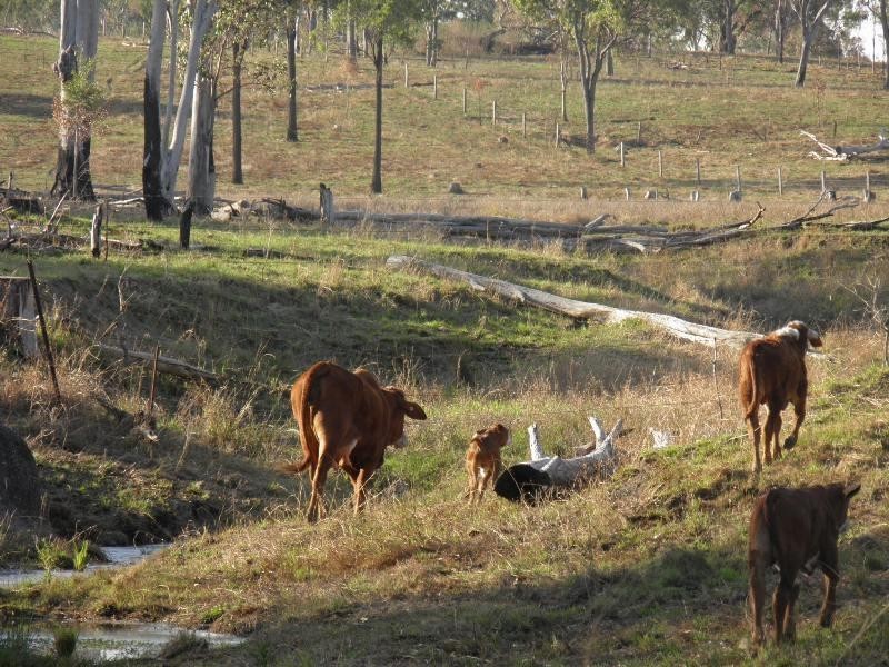 Lot 5/ Mt Hector Road, Ubobo, Boyne Valley, Boyne Valley QLD 4680