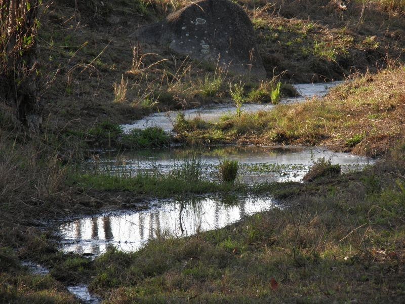 Lot 5/ Mt Hector Road, Ubobo, Boyne Valley, Boyne Valley QLD 4680