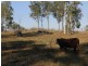Lot 5/ Mt Hector Road, Ubobo, Boyne Valley, Boyne Valley QLD 4680