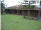 Ningi QLD 4511