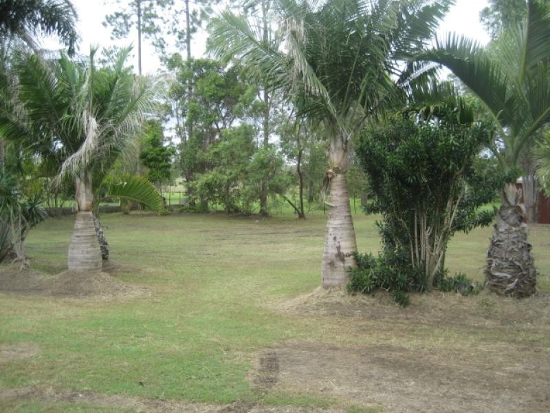 Ningi QLD 4511