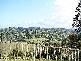Bilambil Heights NSW 2486