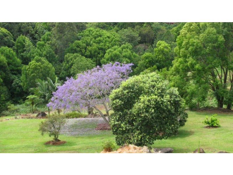 18 Glenbrae Drive, Terranora NSW 2486