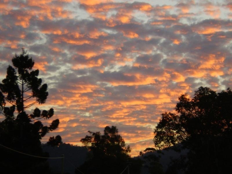 150 Mayes Hill Road, North Tumbulgum NSW 2490