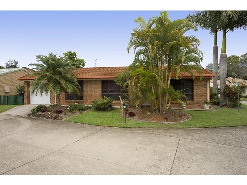 14 Blueberry Court, Banora Point NSW 2486