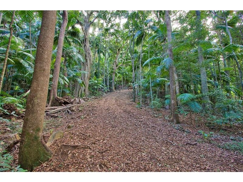 515 Carool Road, Carool NSW 2486