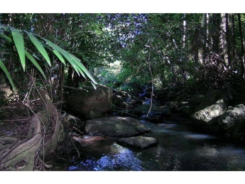 512 Carool Road, Carool NSW 2486