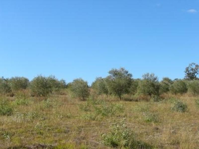 Forest Hill QLD 4342