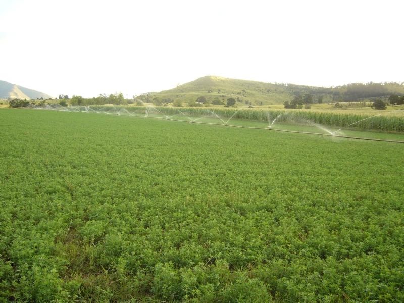 Mount Sylvia QLD 4343