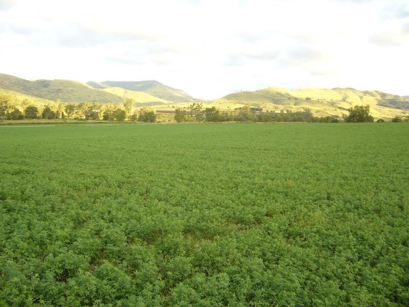 Mount Sylvia QLD 4343