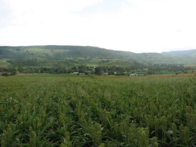 Mount Sylvia QLD 4343