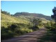 Mount Whitestone QLD 4347