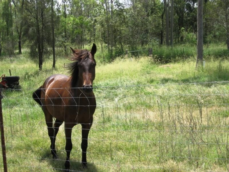 Placid Hills QLD 4343