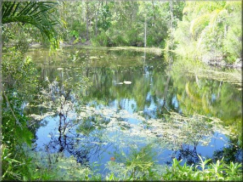 53 VALFERN COURT,, Dundowran QLD 4655