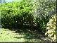 19 MCKEAN ROAD, Scarness QLD 4655
