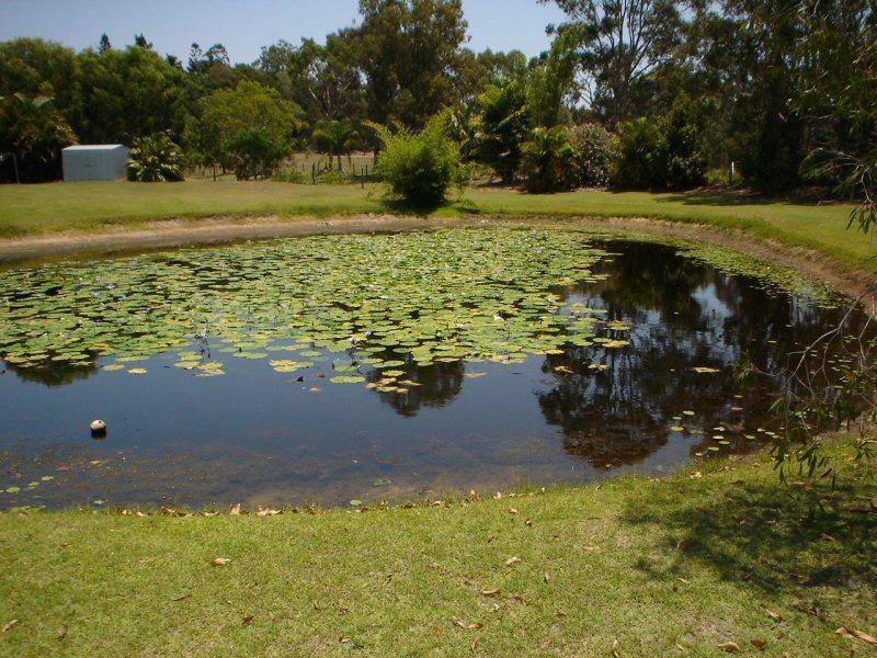 Dundowran Beach QLD 4655