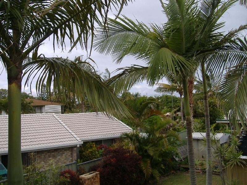 50 King Street, Urangan QLD 4655