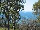 141 ESPLANADE, Point Vernon QLD 4655