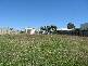 141 ESPLANADE, Point Vernon QLD 4655